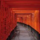Por todos los Kamis!!!!! -Reconociendo el Shinto japones-