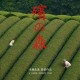 La peli del Viernes: Mogari No Mori (殯の森)