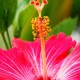 3 o 4 cosas importantes de Okinawa